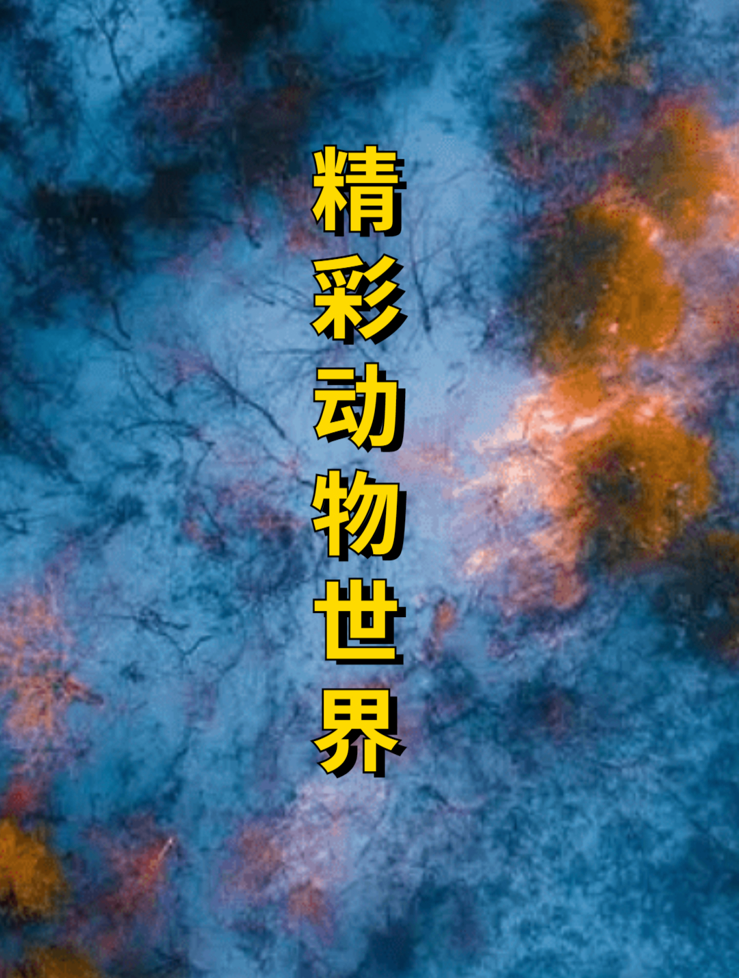 越南码头小伙很嚣张,80斤金枪鱼只卖400,杀鱼技术简单粗暴4