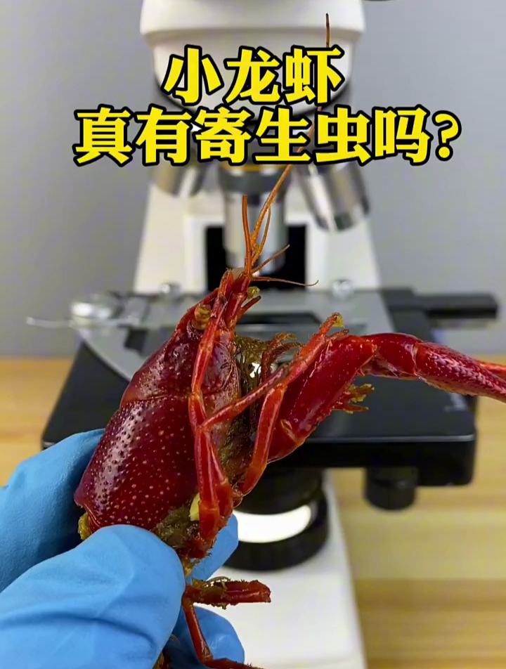 小龙虾真有寄生虫吗?