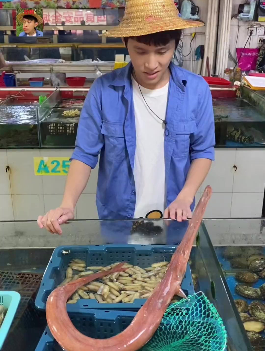 这么大的章鱼小丸子你吃过吗?这是八爪鱼还是章鱼?