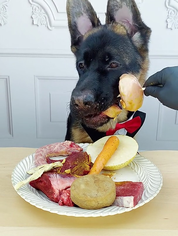 你见过还有比这大的鸡肉串吗