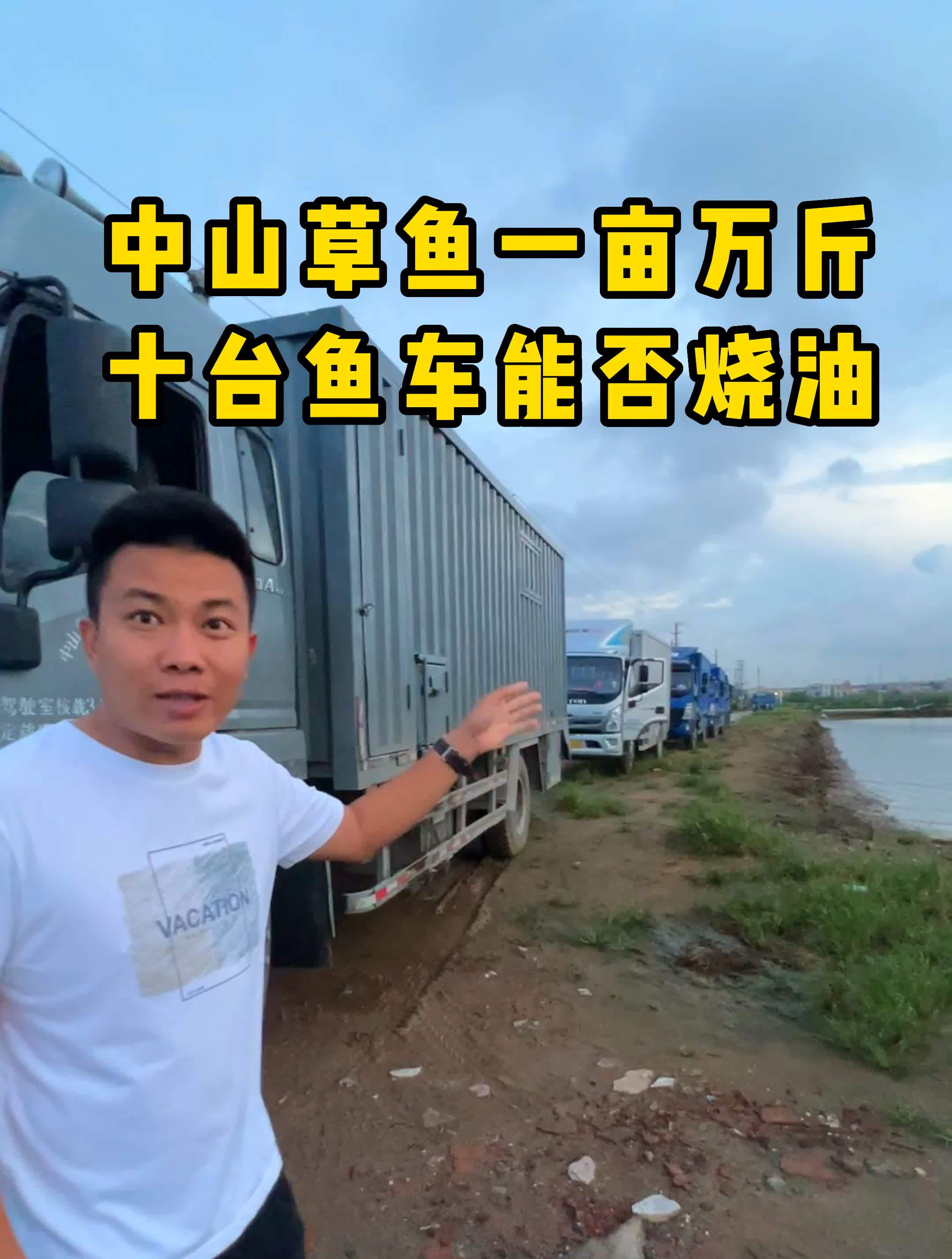中山草鱼就是多,一亩鱼塘上万斤