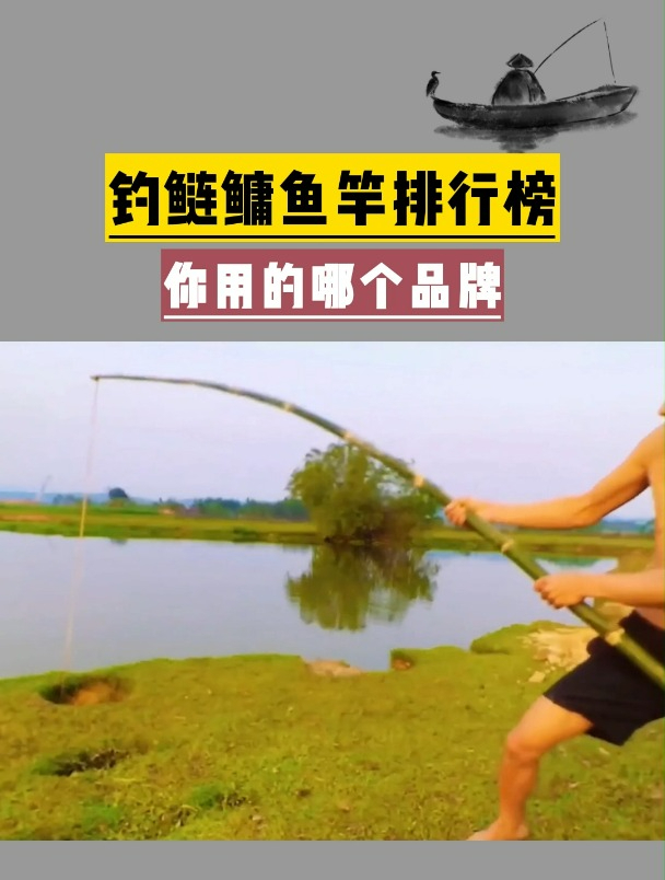 钓鲢鳙鱼竿排行榜