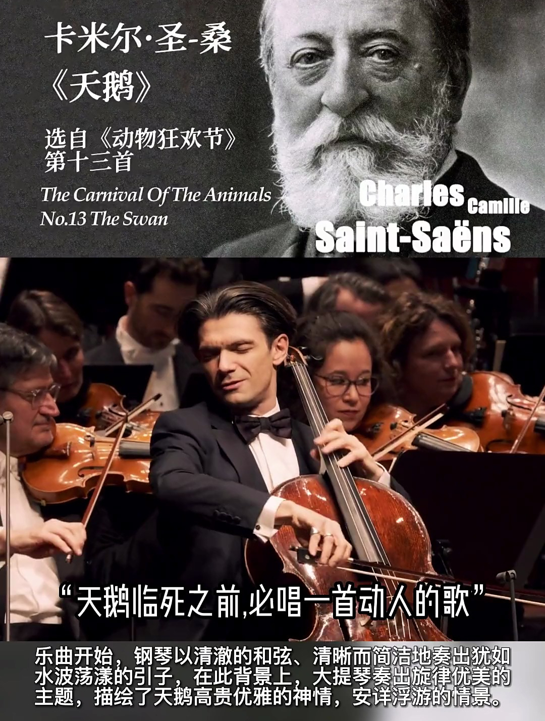 圣桑《天鹅》大提琴独奏曲