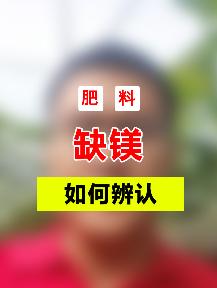 这就是缺镁的典型症状,作物缺镁有哪些特征,我们又该如何去辨认