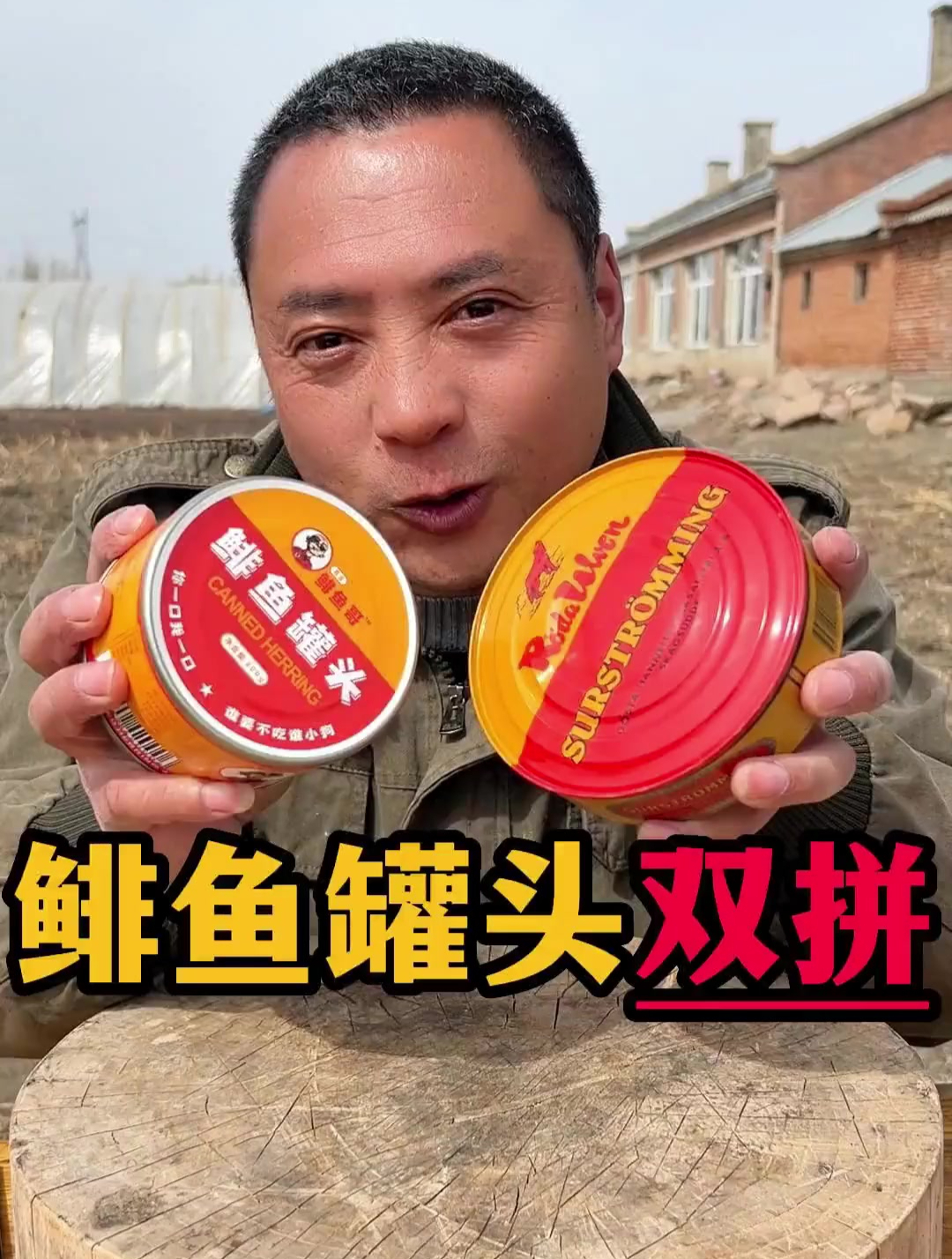 鲱鱼罐头双拼,国产和瑞典的有什么区别呢?