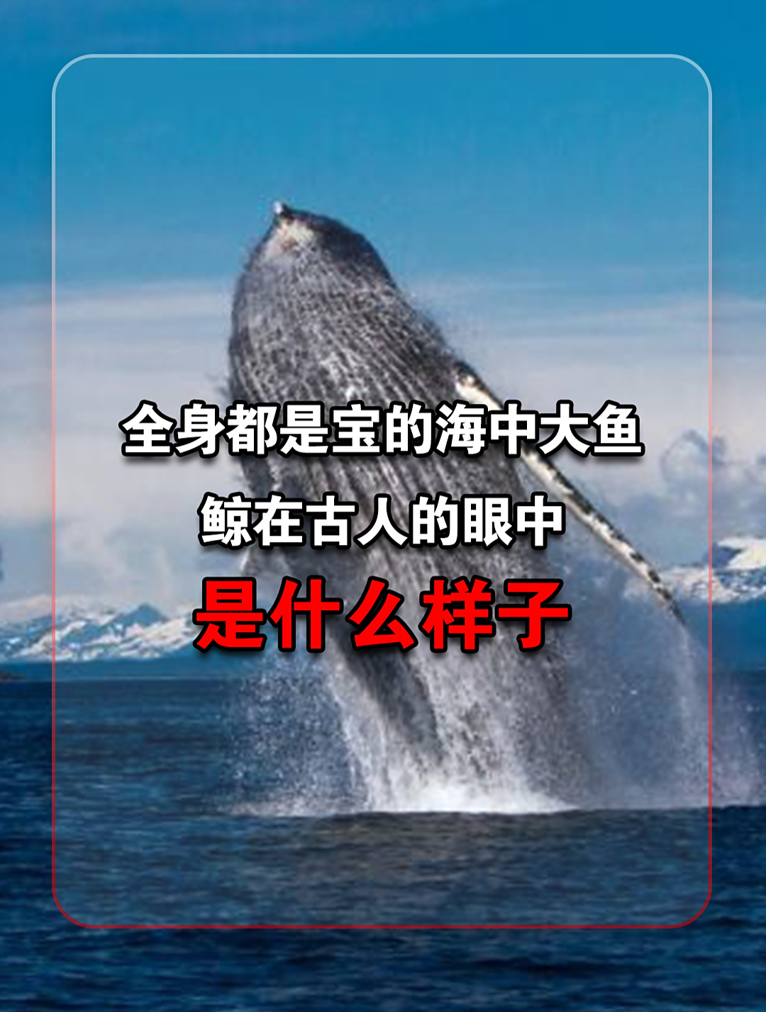 鲸鱼在古人眼中是什么样子的?