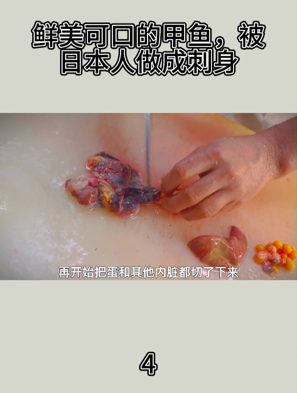 鲜美可口的甲鱼,被日本人做成刺身4