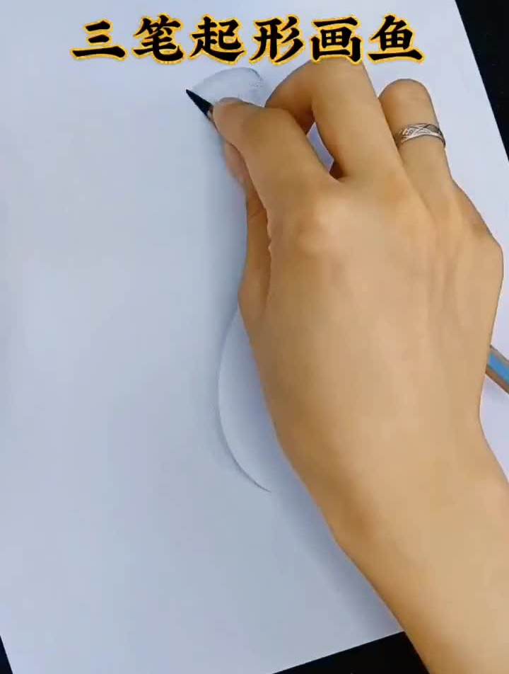 鱼的简单画法,三笔起形教你10秒钟就学会画鲤鱼