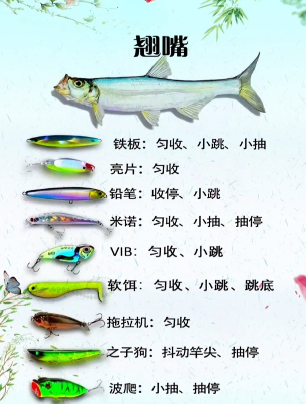 路亚大佬钓的6种鱼常用拟饵,特点及操作技巧钓友们知道吗?