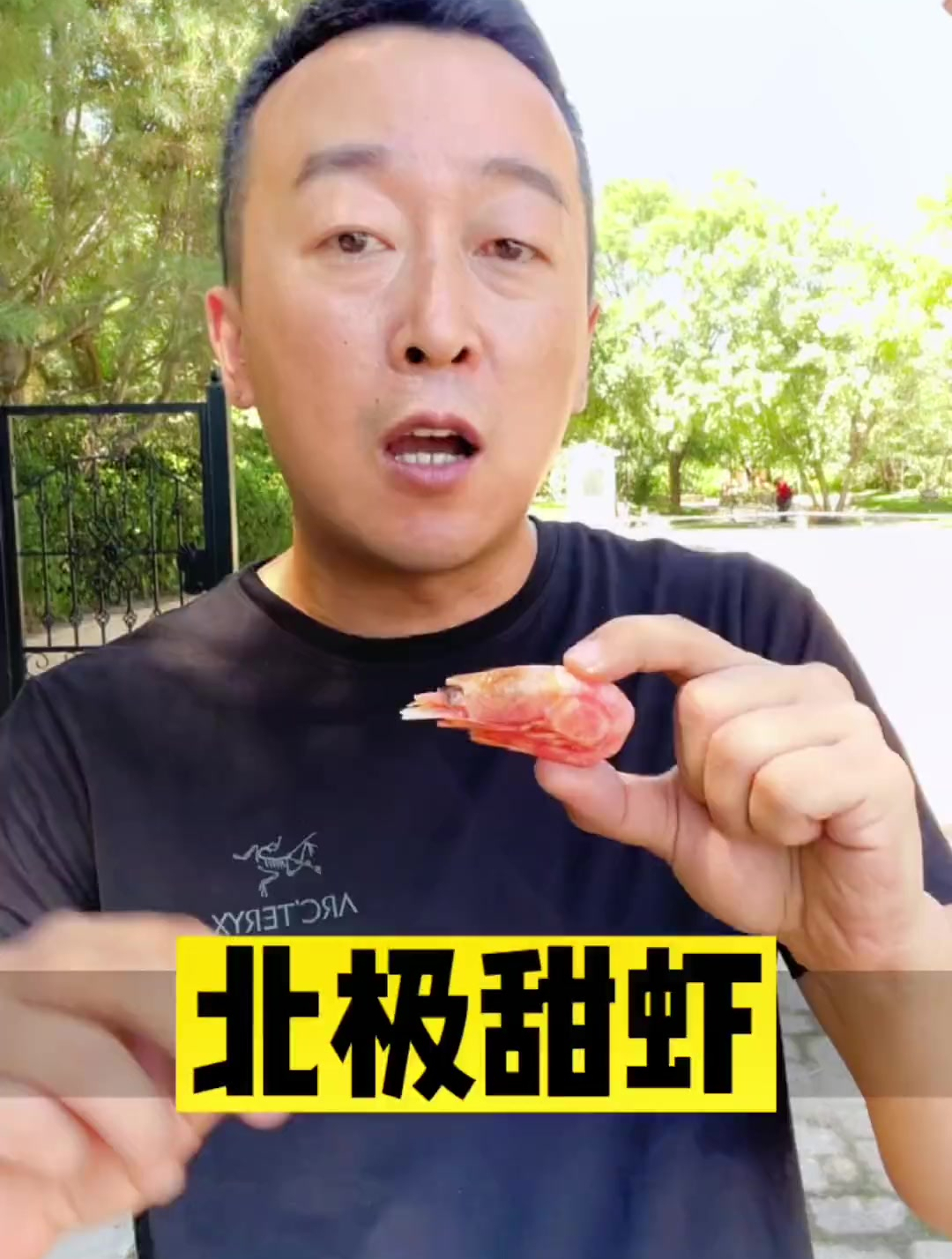 世界八大名虾之:北极甜虾!