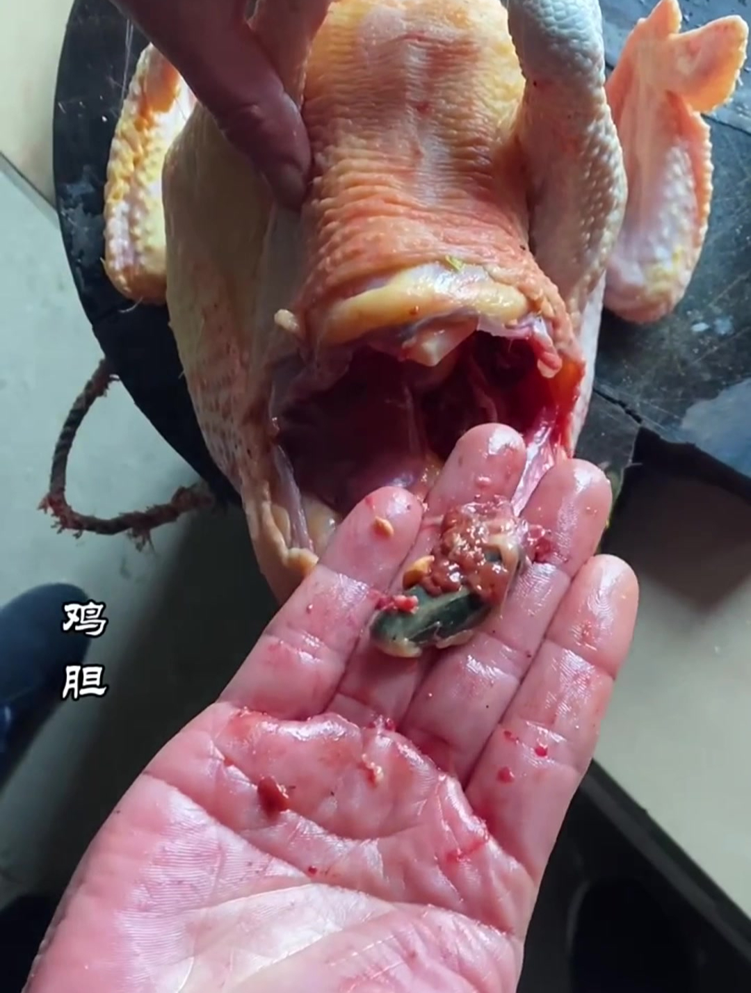 鸡胆干,小小的鸡胆,隐藏着大大的妙用