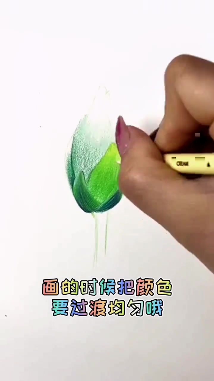 彩铅画,不会画荷花的,这里有完整的过程