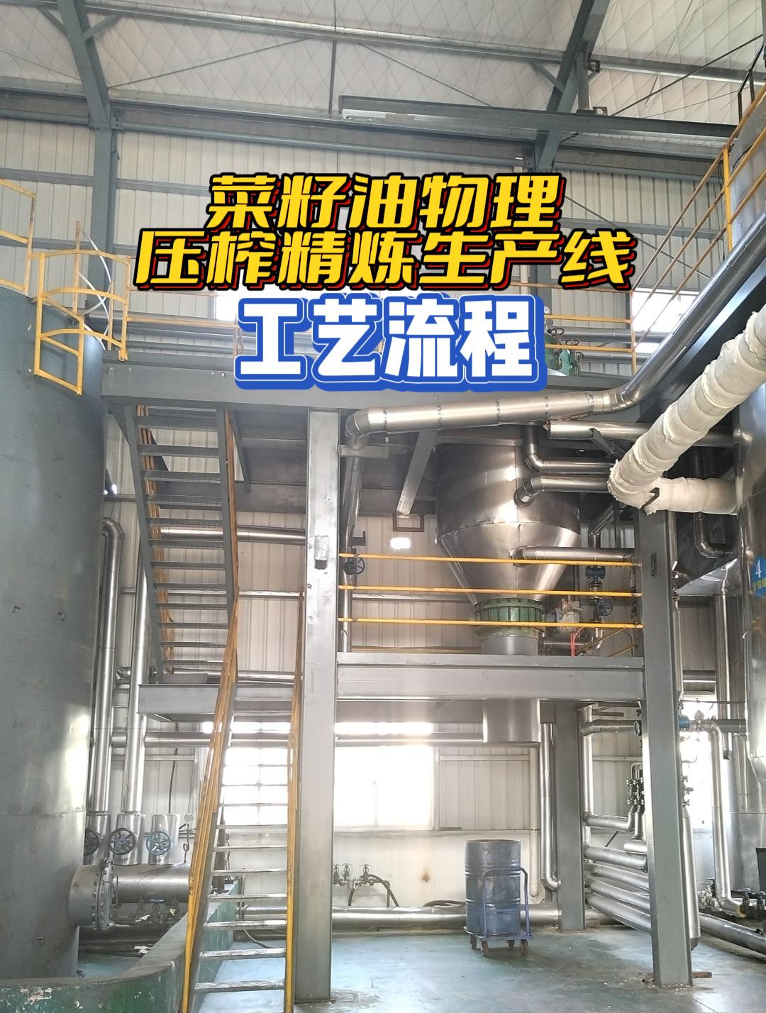 菜籽油物理压榨精炼设备生产线一镜到底工艺流程