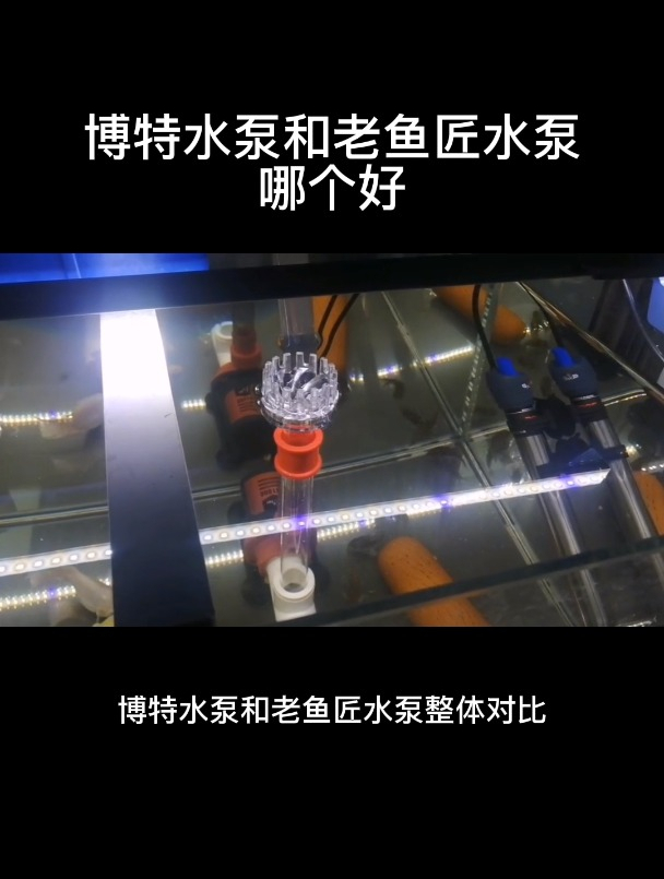 博特水泵和老鱼匠水泵哪个好
