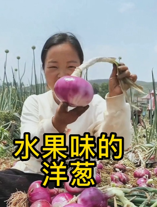 南方的一种蔬菜,能当水果吃也能做调料,那就是水果味的洋葱!