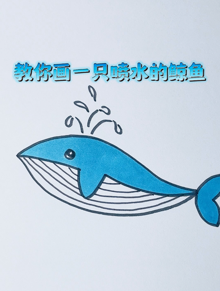看一遍就会的鱼类简笔画,教你画一只喷水的鲸鱼