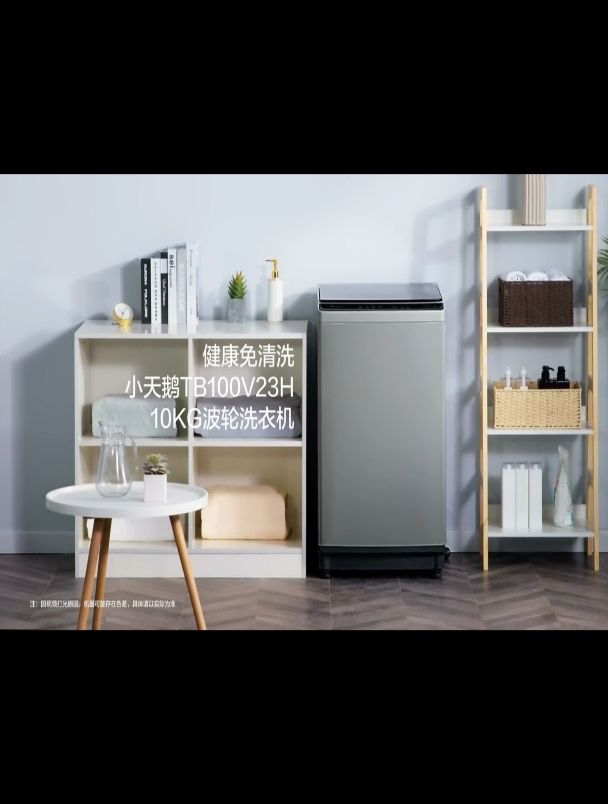 小天鹅(LittleSwan)10公斤 波轮洗衣机 TB100V23H 新升级除螨洗