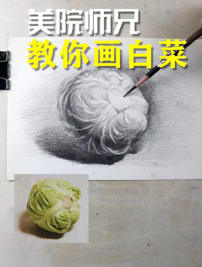 零基础素描 - 美院师兄教你画白菜