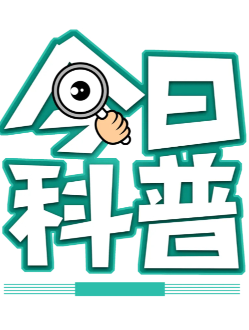 最稀有的十种鲨鱼,你认识几种呢?3