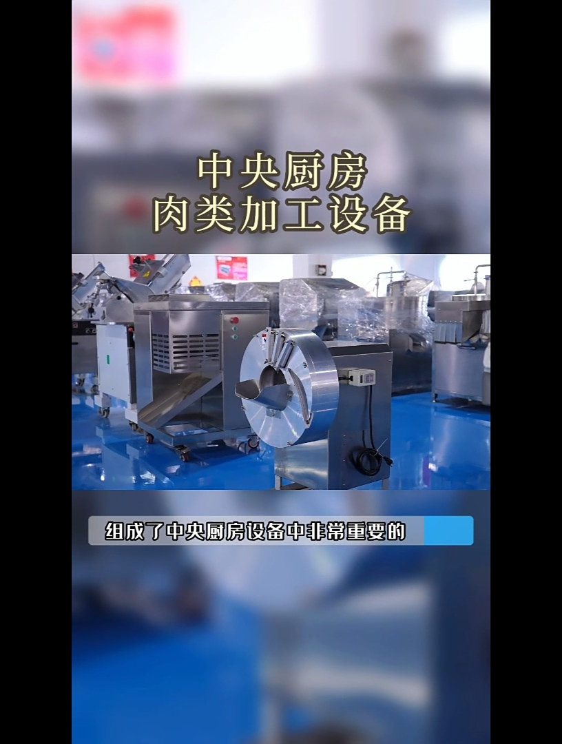 中央厨房肉类加工设备智能切肉机冻肉冻鱼切割机