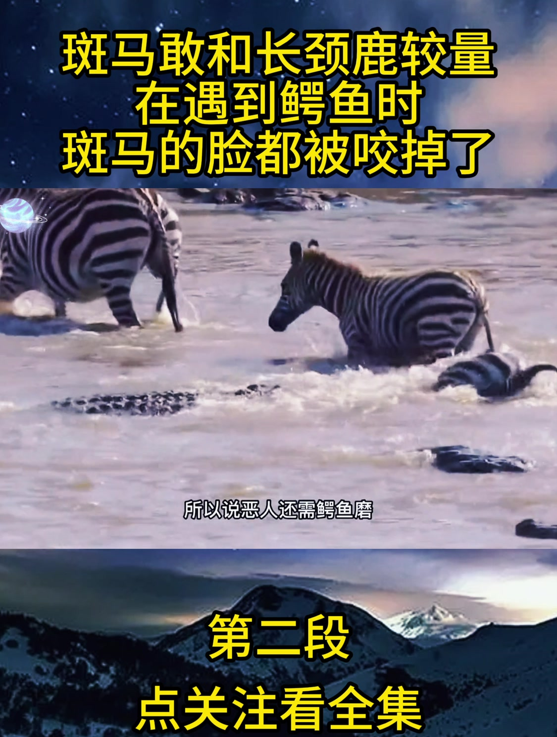 斑马敢和长颈鹿较量,在遇到鳄鱼时,斑马的脸都被咬掉了