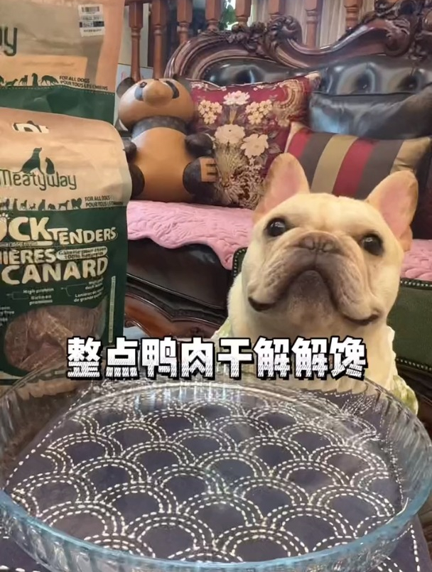 夏天给毛孩子吃点零食首选鸭肉干,多吃鸭肉可以清热降火减少泪痕