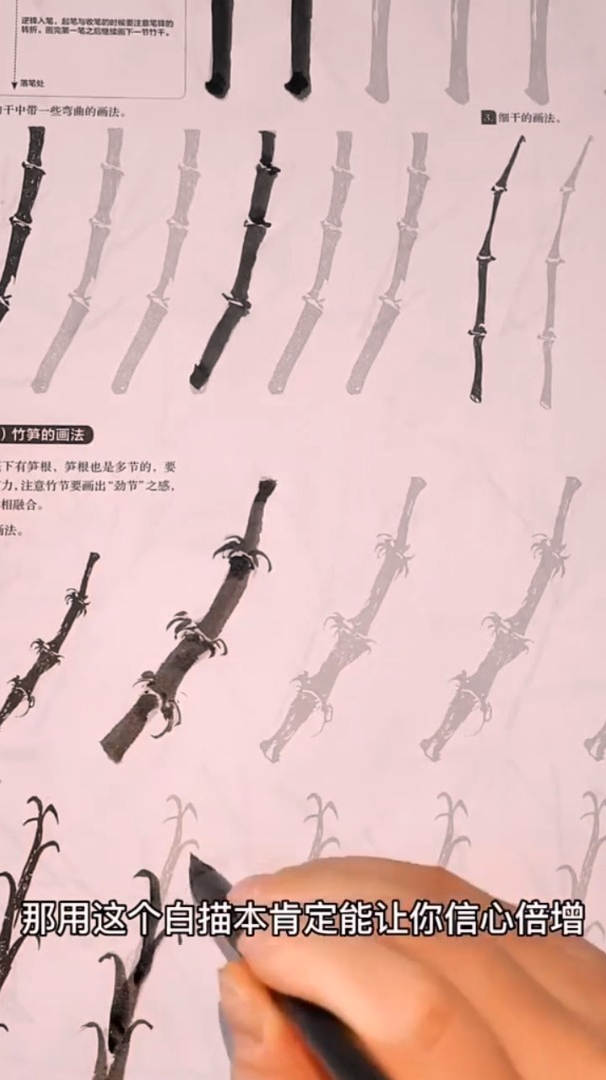 菜鸟国画大全 没看梅兰竹菊之竹