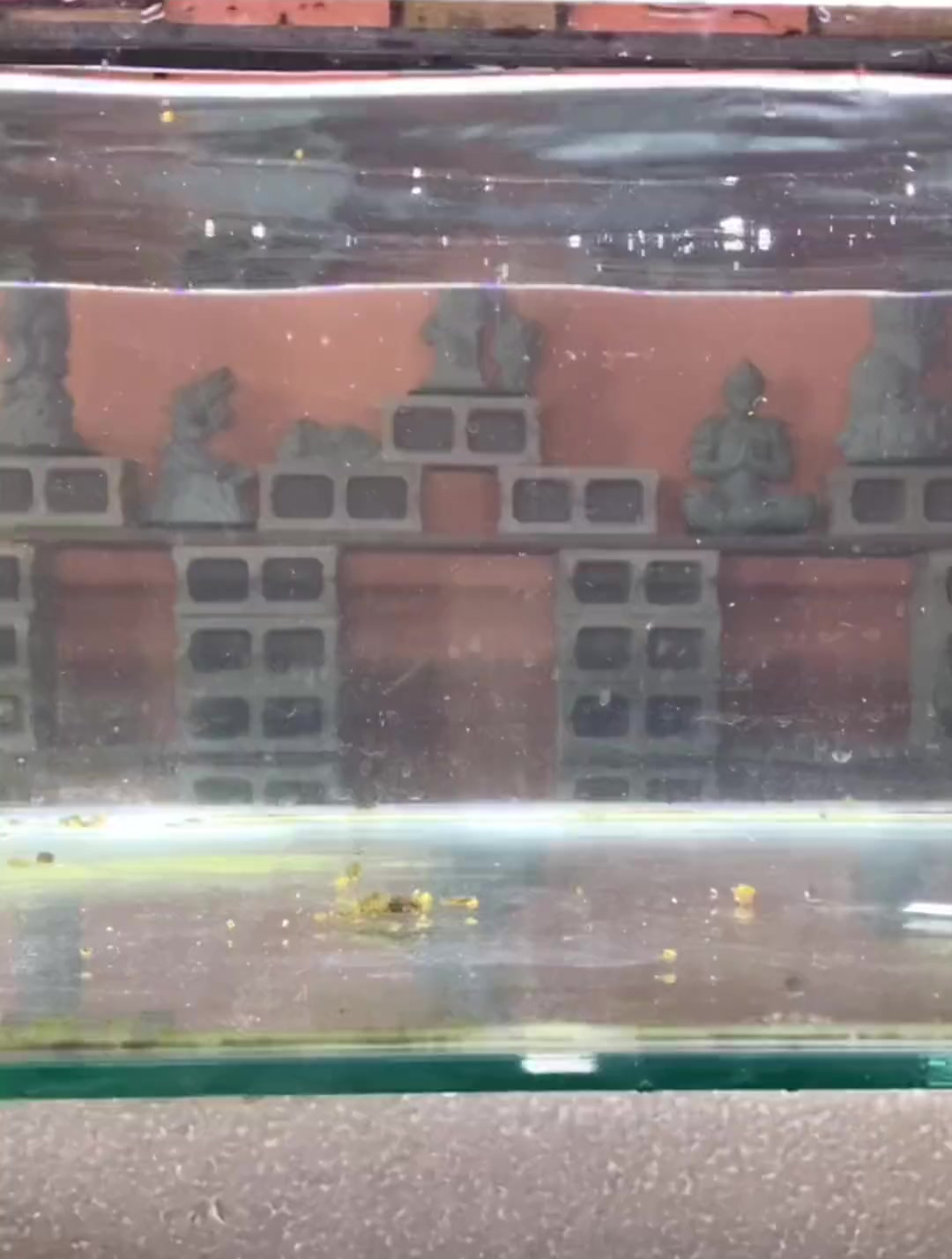 你的鱼缸除了鱼还有什么?可以看看嘛 摆件 鱼缸造景