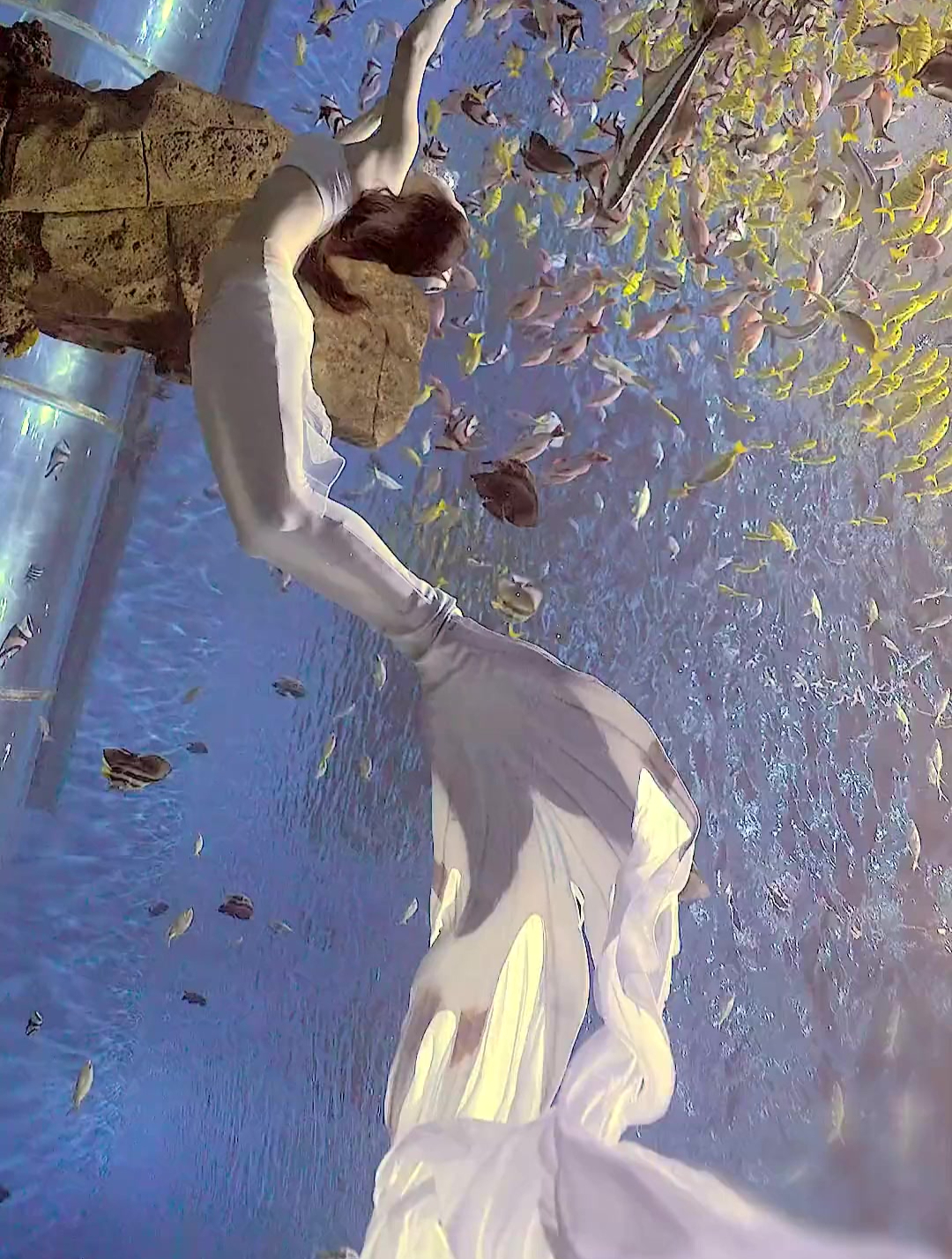 天花板级别美人鱼大鱼尾