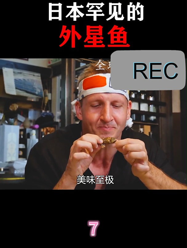 日本罕见的外星鱼7