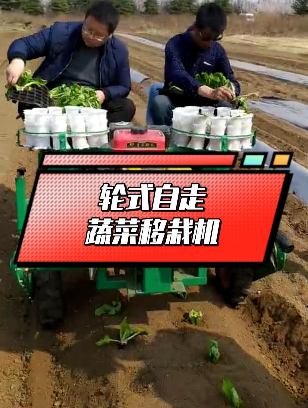 轮式自走蔬菜移栽机