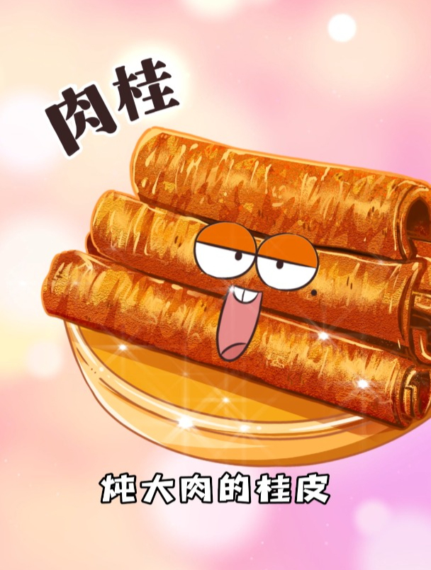 肉桂和炖肉的桂皮是一个东西吗?