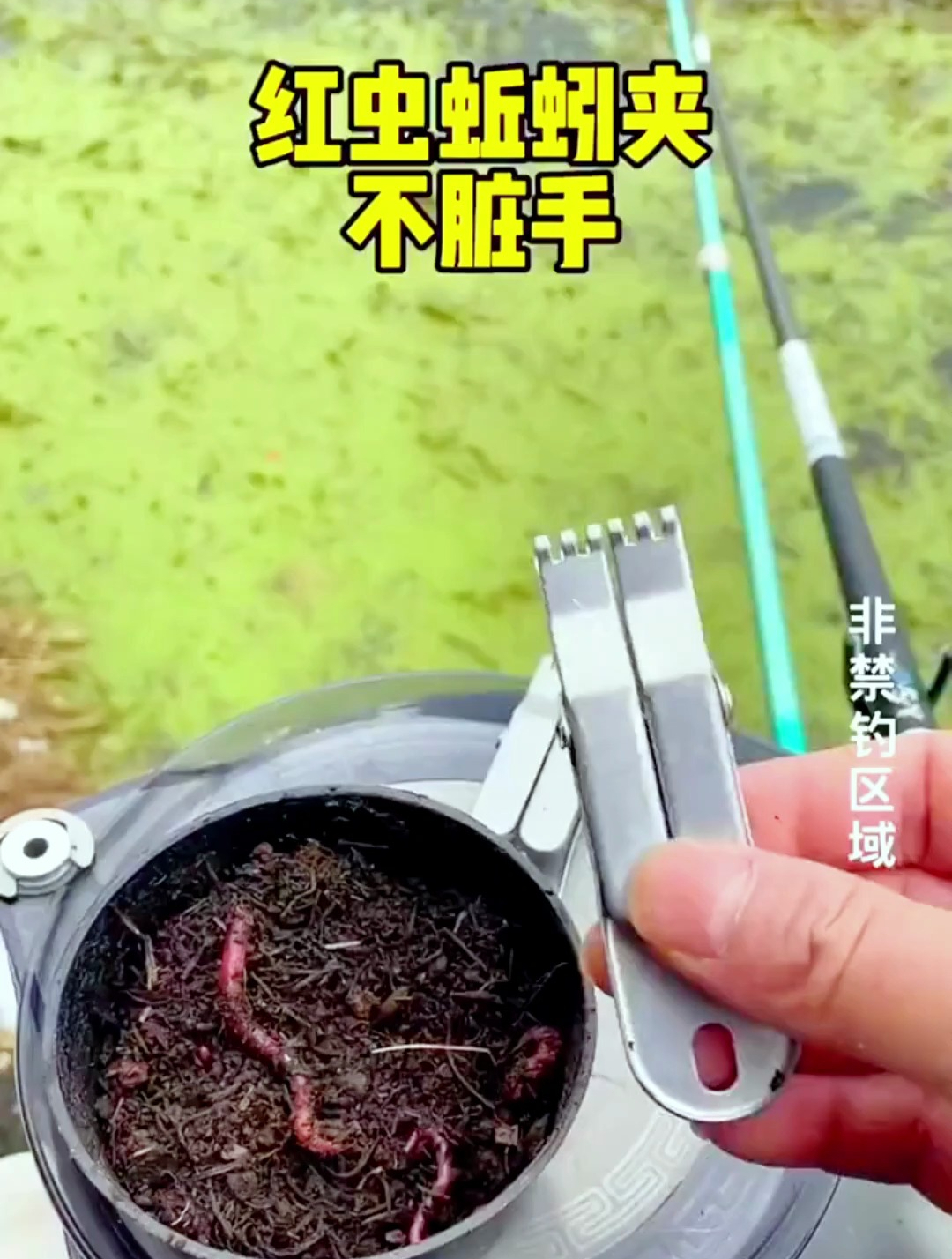 外出钓鱼带上它,秒挂蚯蚓不脏手,活性高诱鱼快!