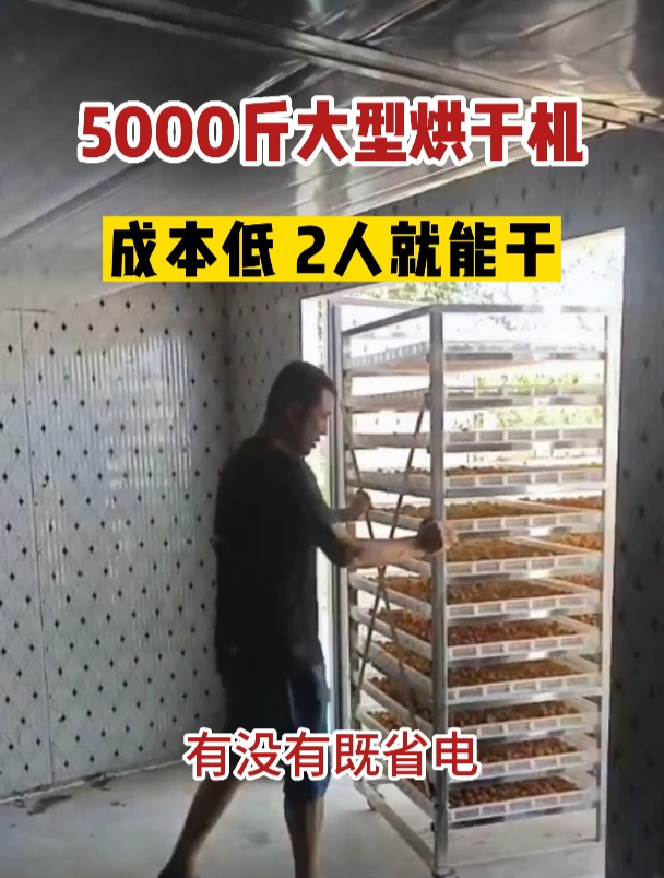 5000斤大型烘干机来了 瓜果蔬菜都能烘,出来就是翻十几倍的干货