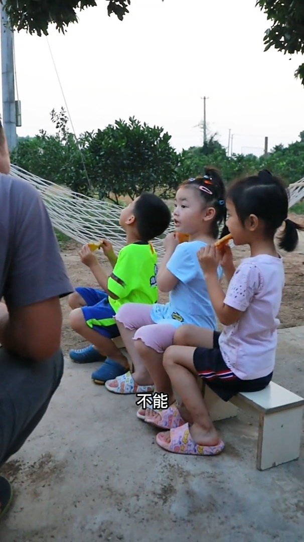 叔伯同学带小孩来果园玩的一天,做童年最馋的虾公籺给他们尝尝