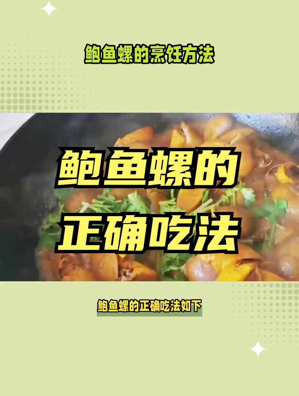 鲍鱼螺的清洗去壳及烹饪方法,这么做出来鲜美无比!