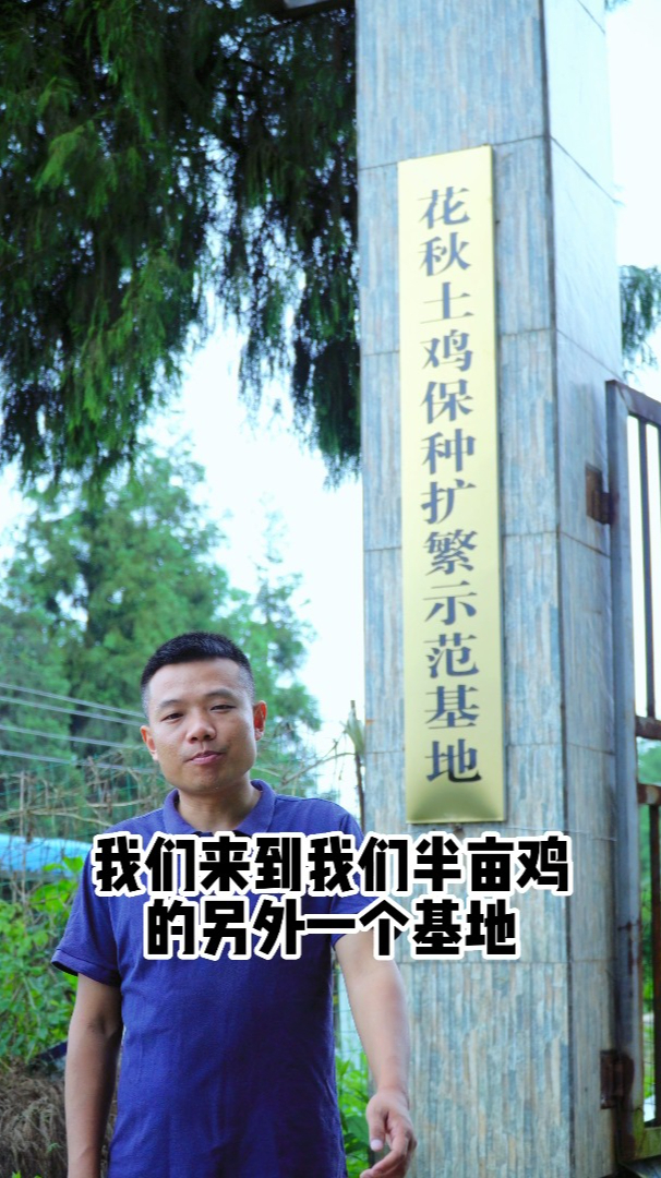 好的品种才能成就好的土鸡