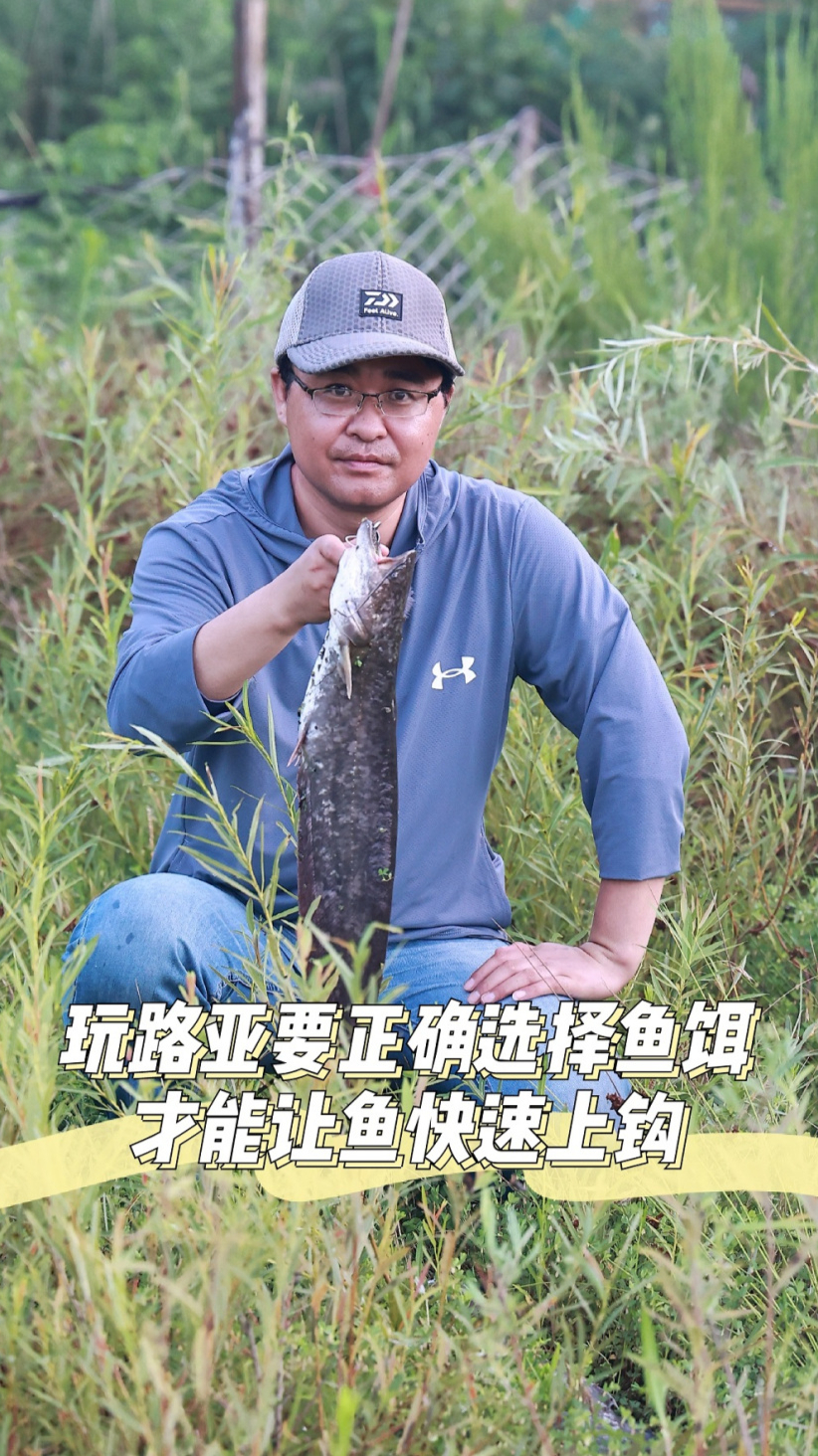 玩路亚要正确选择鱼饵,才能让鱼快速上钩