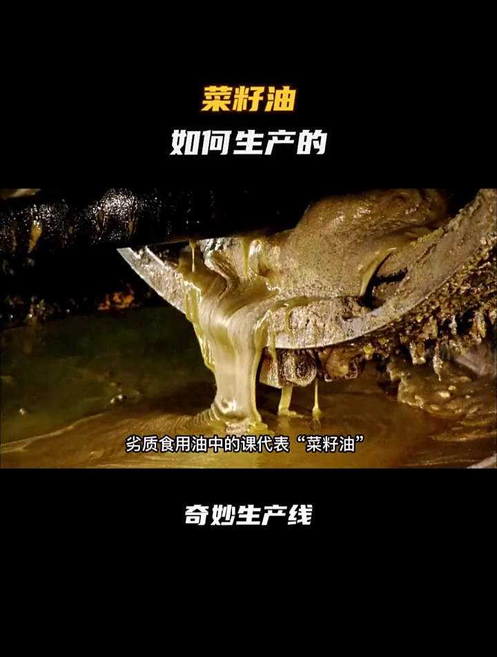 菜籽油是如何生产出来的!你吃过菜籽油吗?持续更新精彩内容