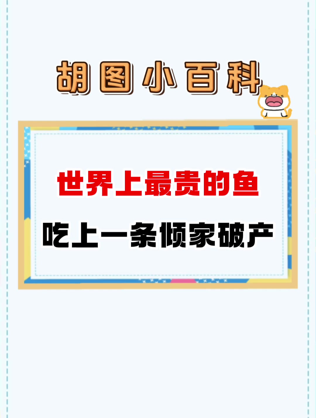 世界上最贵的鱼 一条拍出3亿天价吃上一条倾家荡产