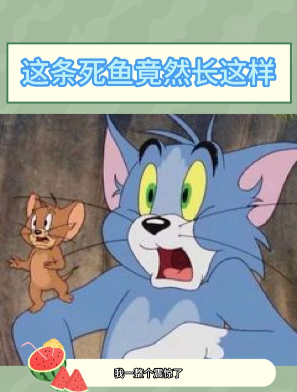 我一整个震惊住了