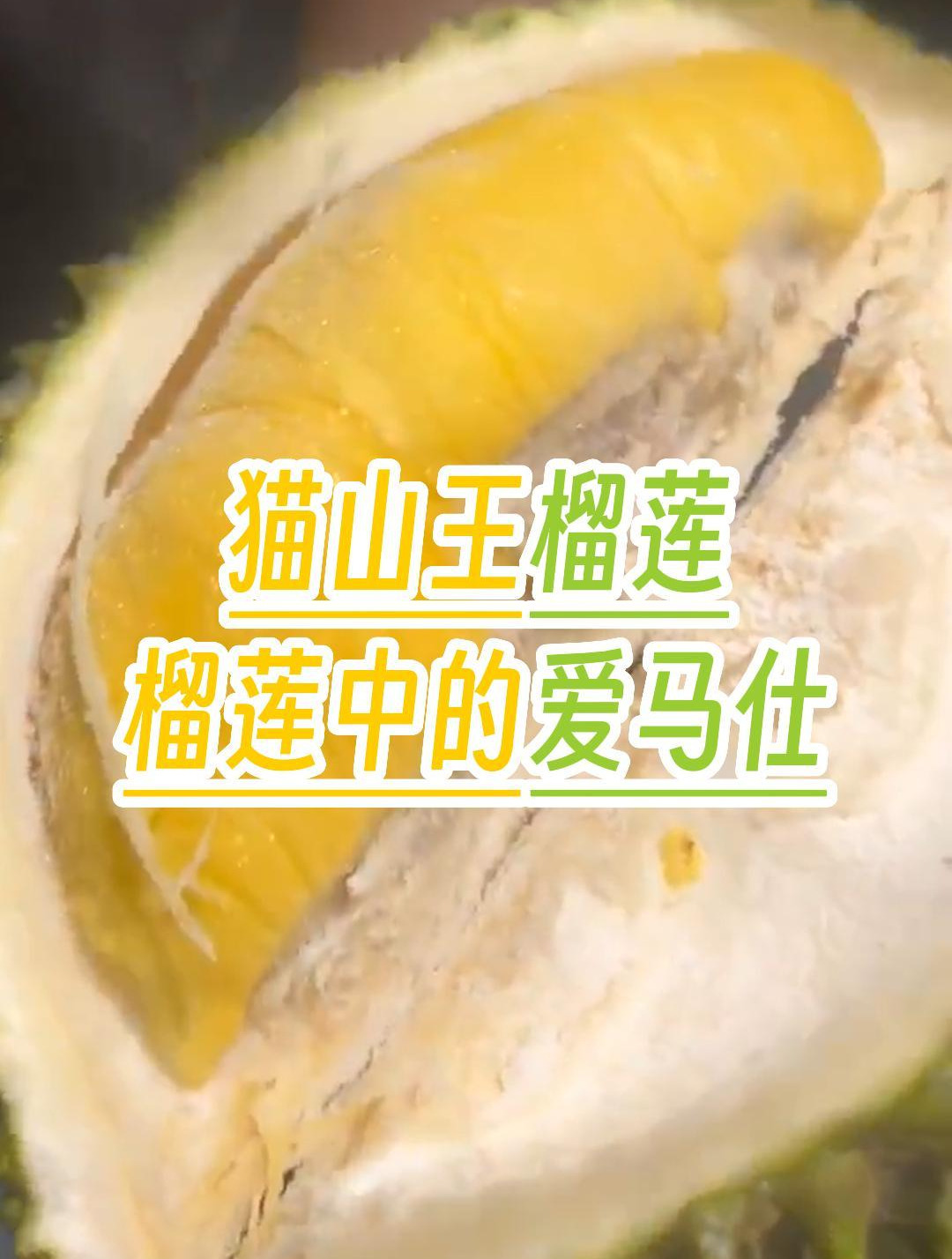 猫山王榴莲果肉,果肉之大,一只手拿不下
