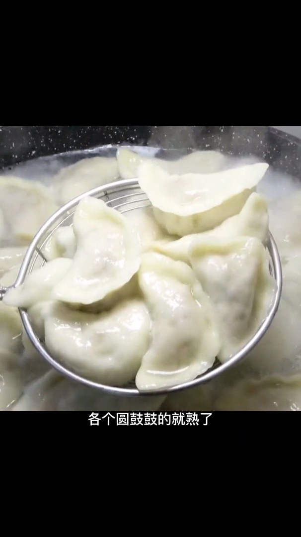 今天分享白菜馅饺子