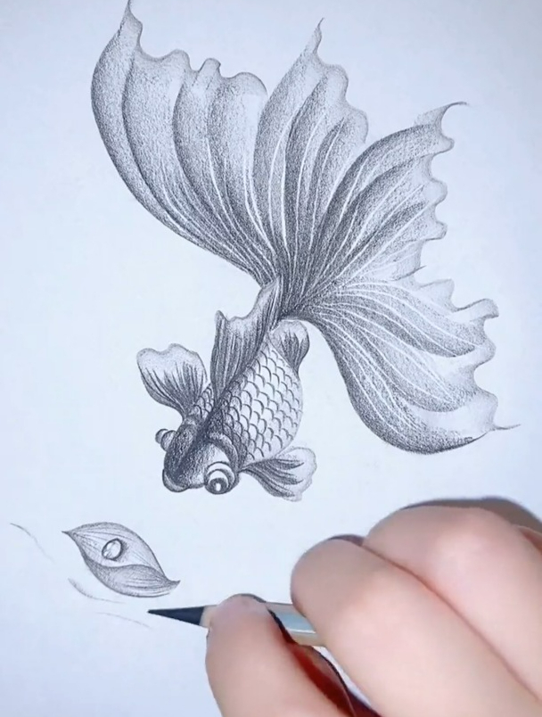 炭笔简单画可爱的小金鱼