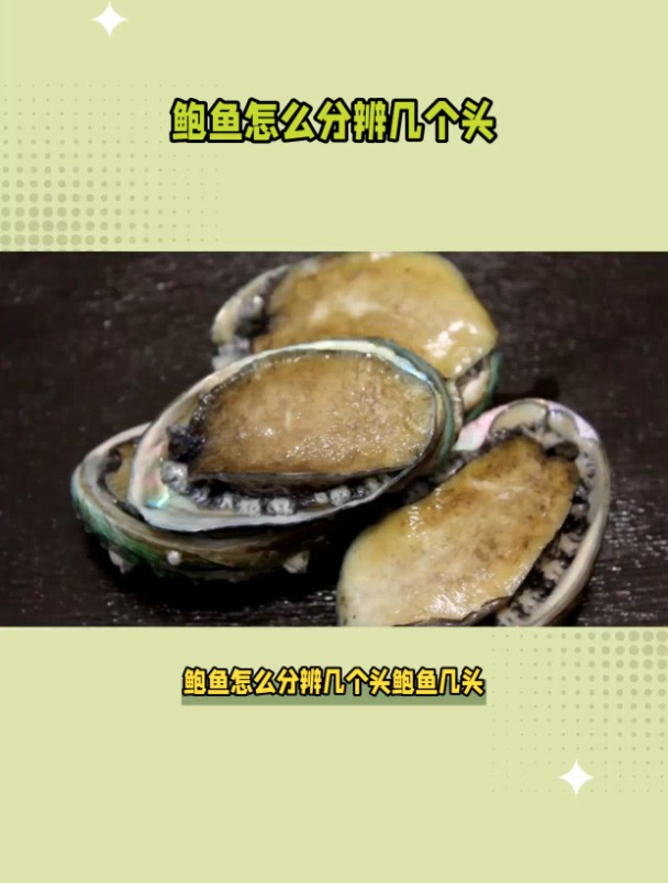 鲍鱼几个头啥意思