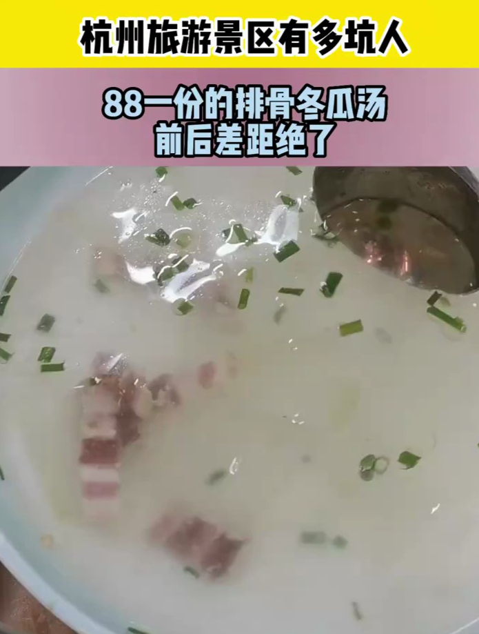 杭州旅游景区有多坑人?88一份的排骨冬瓜汤,前后差距绝了