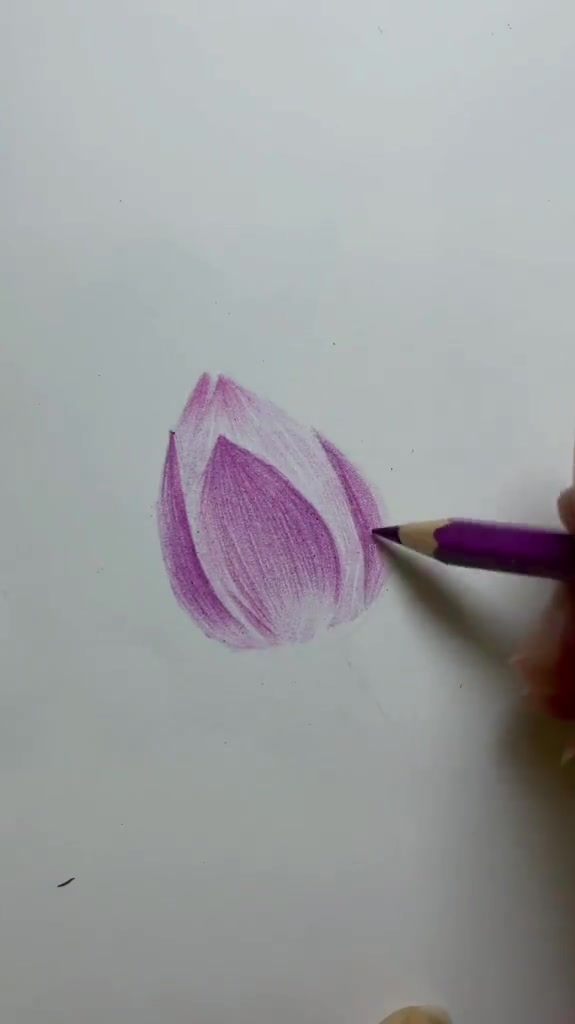 彩铅画,非常简单的荷花来咯