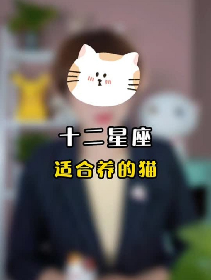 十二星座的CP猫,双鱼座的特别漂亮哦