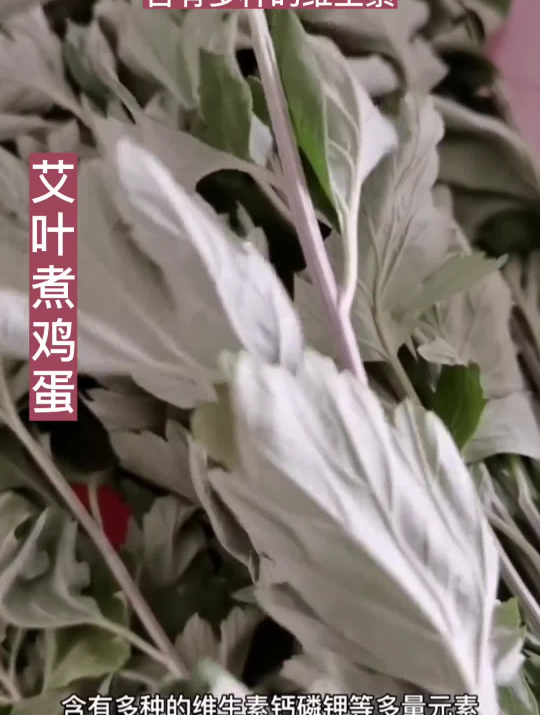 艾叶煮鸡蛋艾叶煎蛋艾草