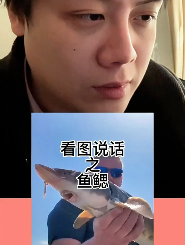 看图说话之鱼鳃!